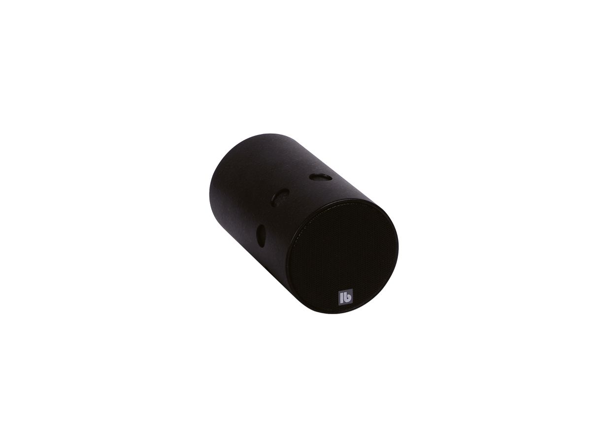 RL 110 noir - Haut-parleur directionnel, angle de rayo