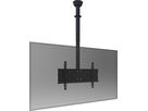 072.3150B - Displayhalterung - 890 - 1475mm