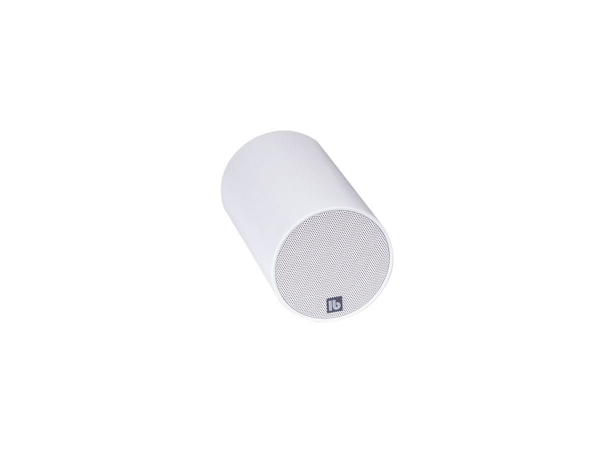 FZ 110 T blanc - Haut-parleur cylindrique à large bande,